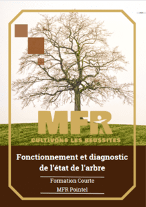 Fonctionnement et diagnostic de l'Arbre