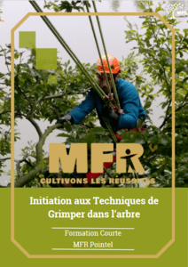 Initiation aux Techniques de Grimper dans l'arbre