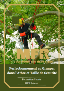 Perfectionnement au Grimper dans l'Arbre et Taille de Sécurité