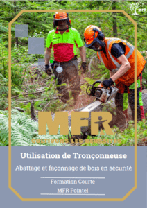 Utilisation de Tronçonneuse