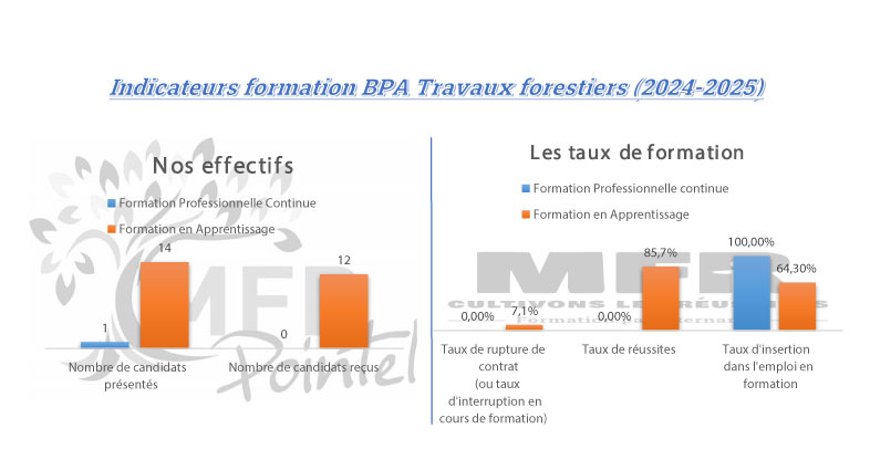 Indicateurs formation BPA Travaux forestiers (2024-2025)